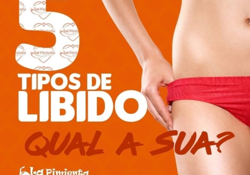 5 TIPOS DE LIBIDO 