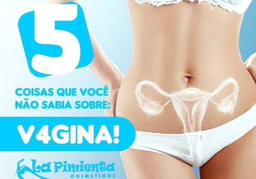 5 COISAS QUE VOCÊ NÃO SABIA SOBRE: VAGINA! 