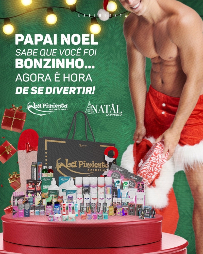 PAPAI NOEL SABE QUE VOCÊ FOI BONZINHO... AGORA É HORA DE SE DIVERTIR!